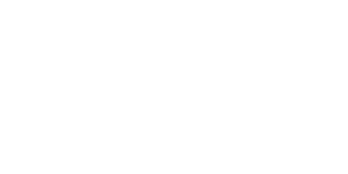 Mayor-elect Sean Ryan Transition Team Mayor-elect Sean Ryan Transition Team